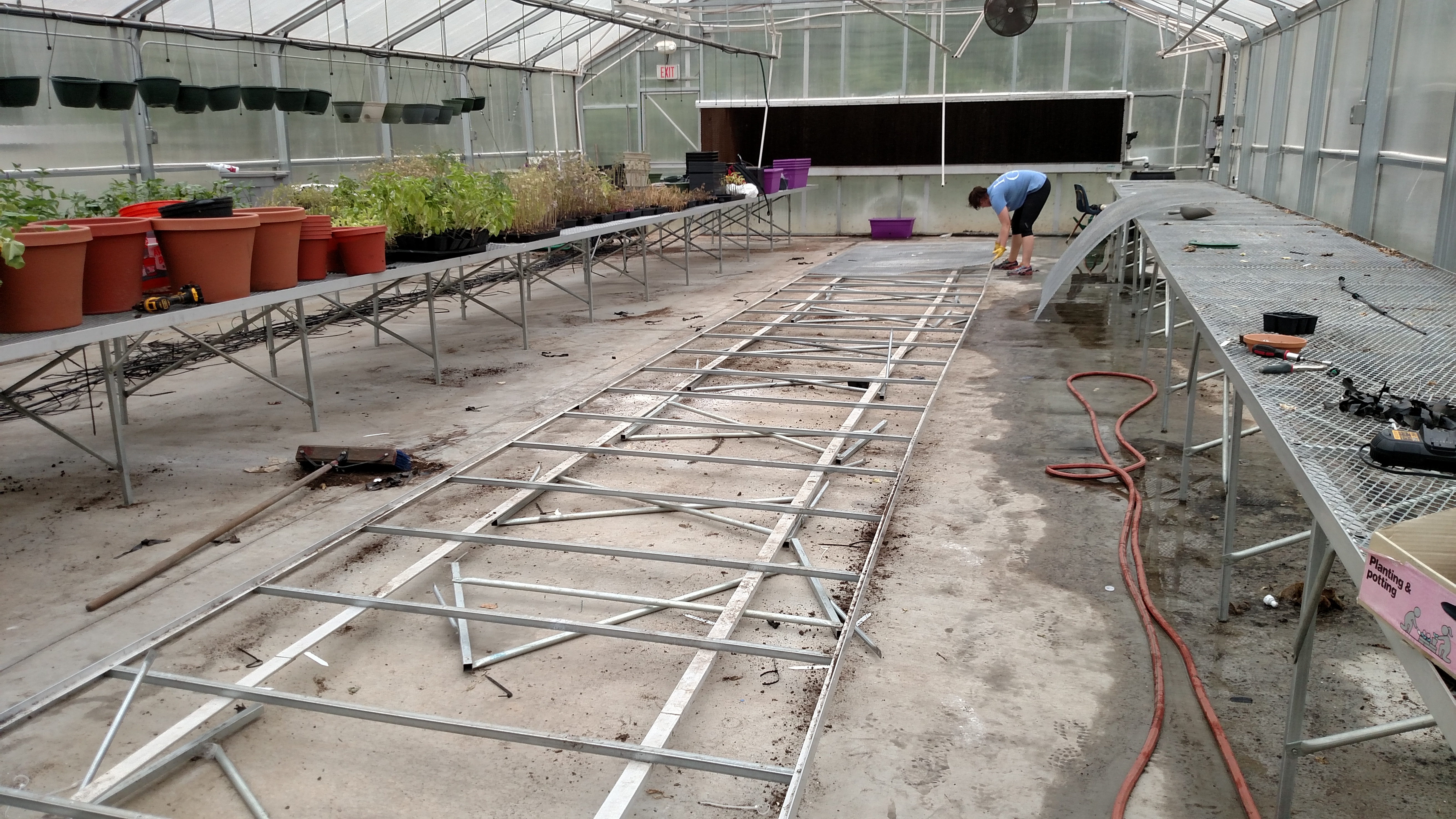 Myers Park greenhouse before construction of aquaponics system (Photo Credit: 100 Gardens)